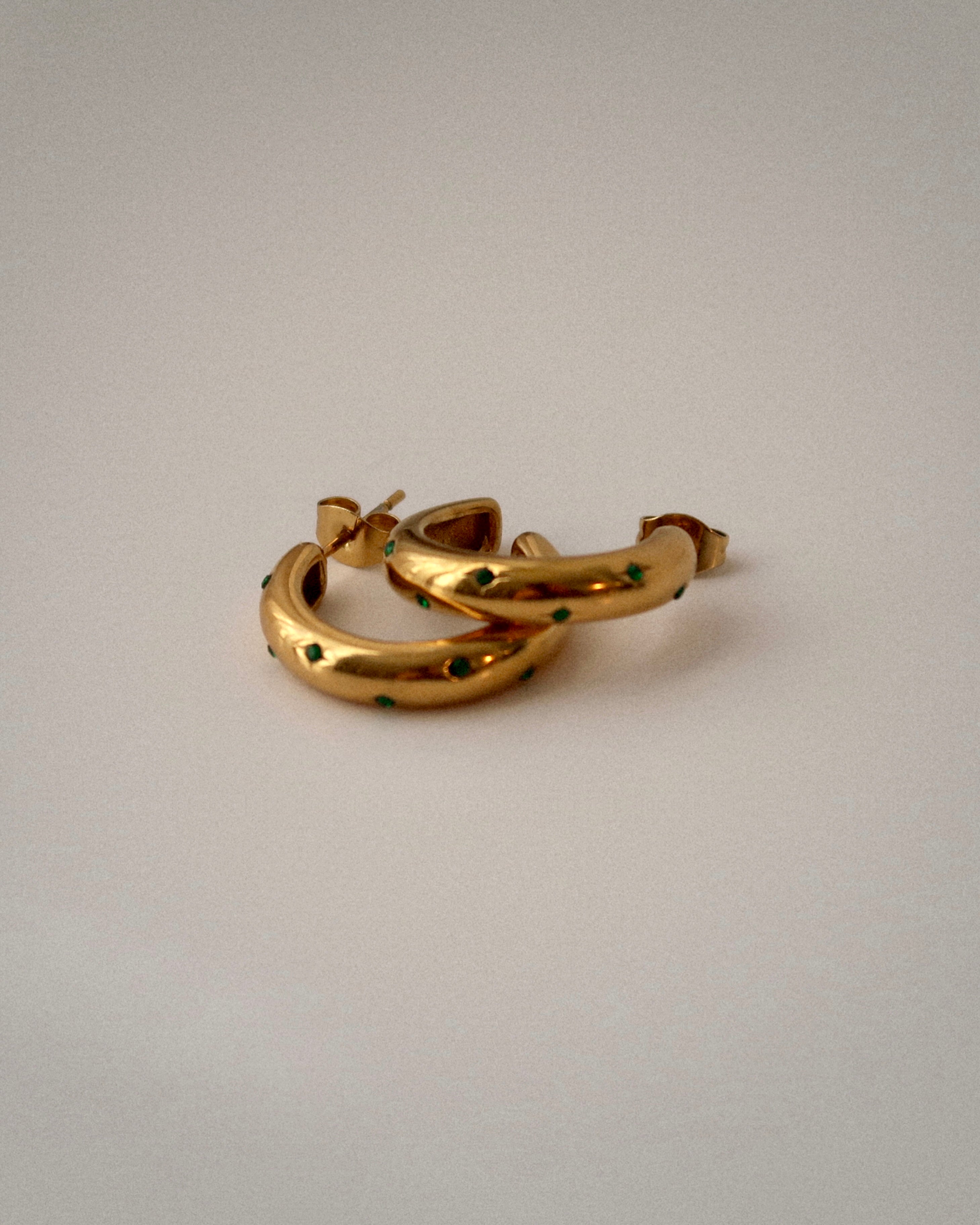 Paulina Hoop Earrings