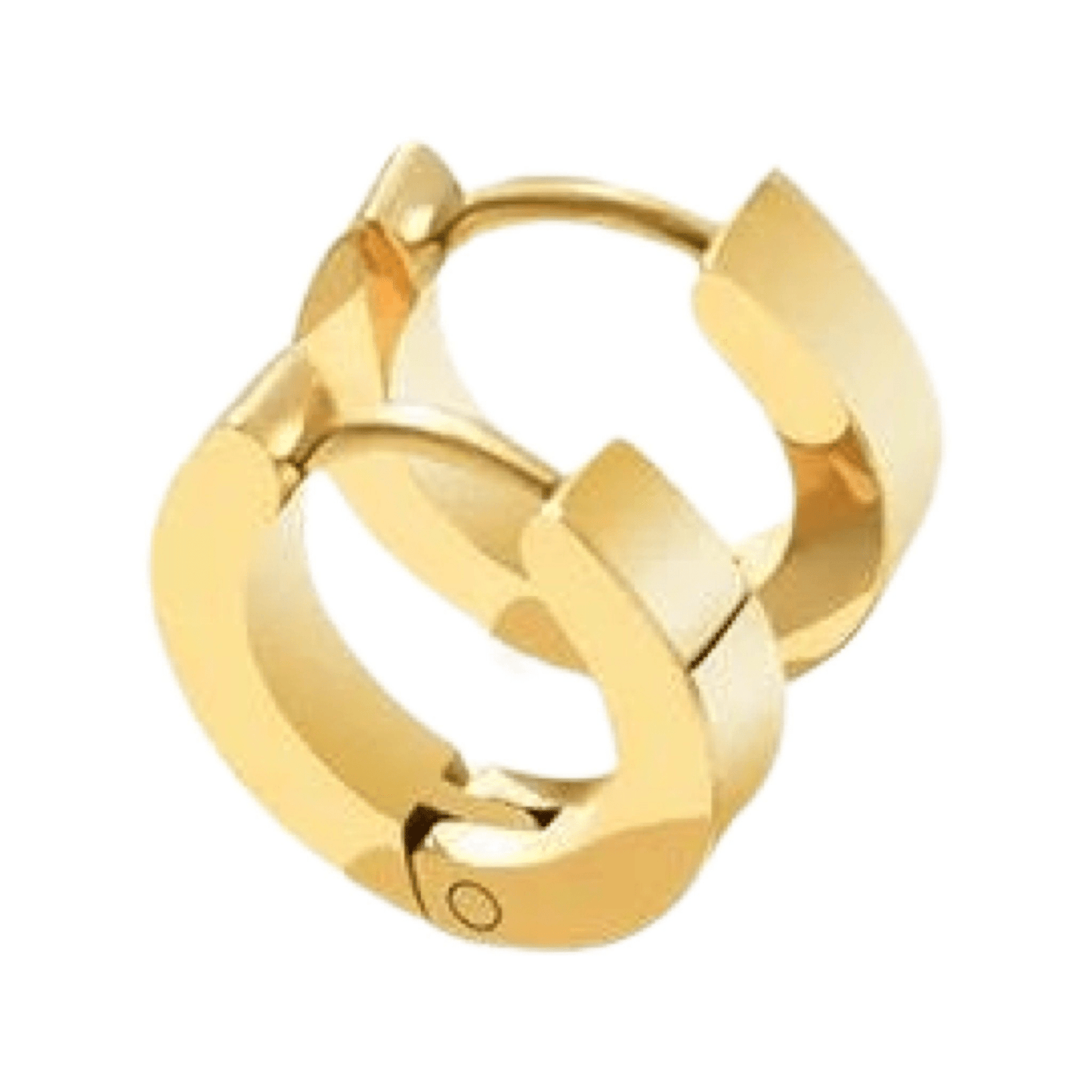 Sydney Stainless Steel 14K Gold-Plated Hoop Earrings